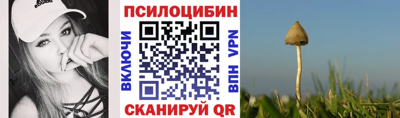 наркота  Махачкала  Псилоцибиновые грибы мицелий 
