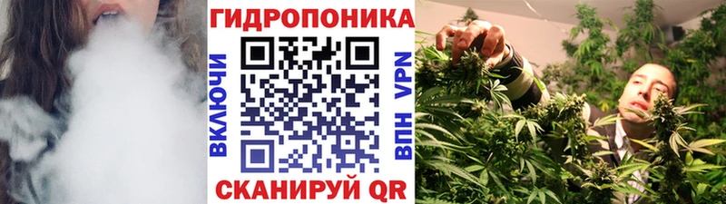 Бошки Шишки OG Kush Махачкала